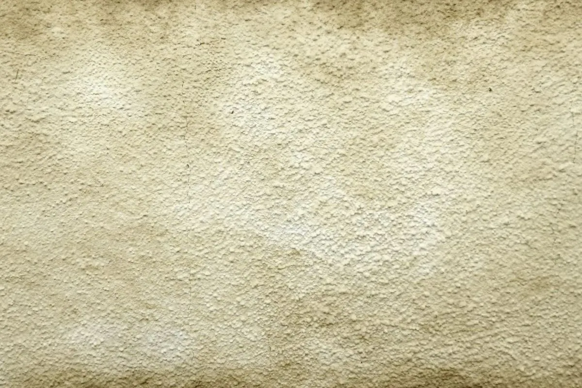 Articoli da leggere